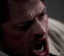 SPN_0917.jpg