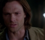 SPN_0979.jpg