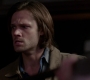 Filename=SPN_1037.jpg
Filesize=39KiB
Dimensions=1280x720
Date added=Sep 30, 2021 SPN_1037.jpg