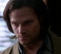 SPN_1271.jpg