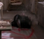 SPN_1314.jpg