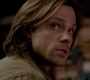 Filename=SPN_1363.jpg
Filesize=67KiB
Dimensions=1280x720
Date added=Sep 30, 2021 SPN_1363.jpg