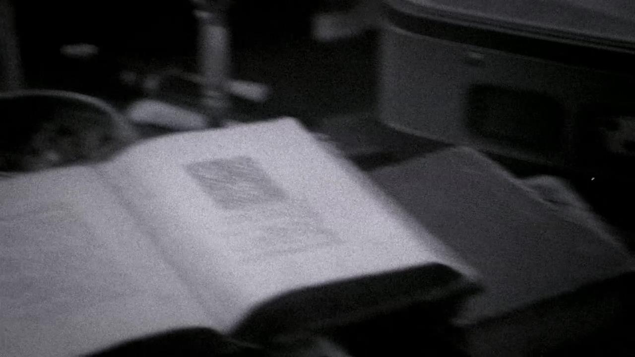 SPN_0353.jpg
