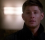 SPN_0206.jpg