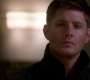 SPN_0229.jpg