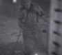 SPN_0372.jpg