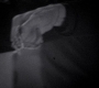 SPN_0381.jpg