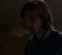 SPN_0430.jpg