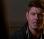 SPN_0463.jpg