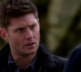 SPN_1101.jpg