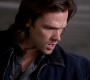 SPN_1126.jpg