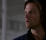 SPN_1146.jpg