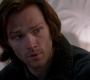 SPN_1387.jpg
