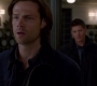 SPN_1531.jpg