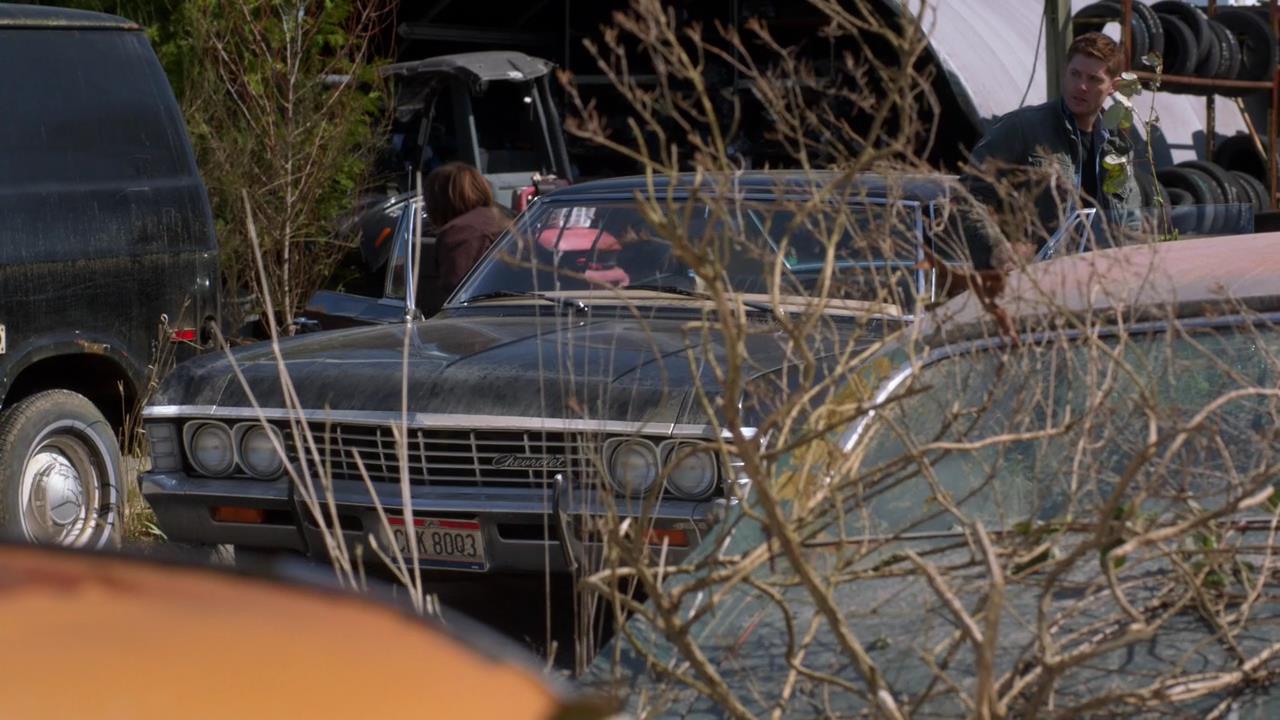 SPN_0257.jpg