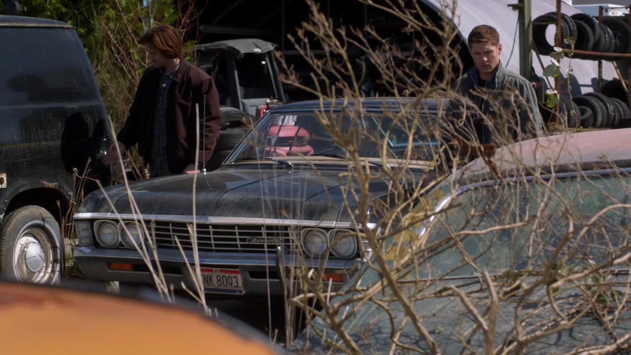 SPN_0259.jpg