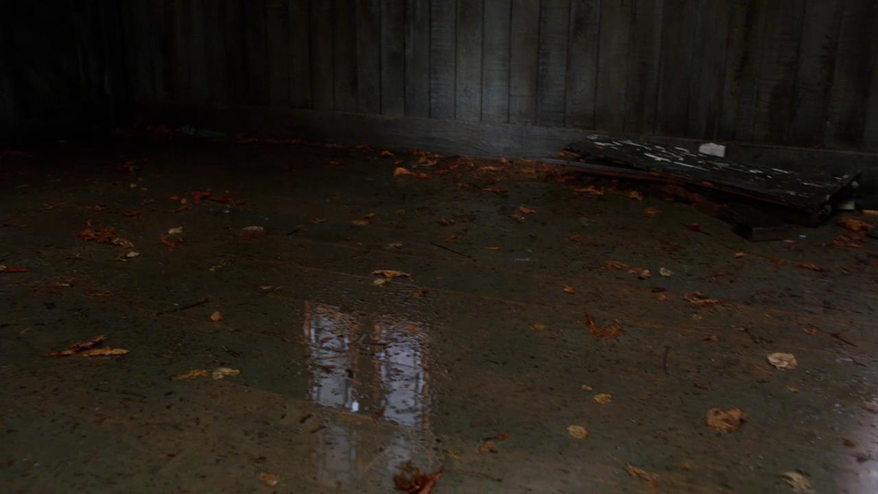 SPN_0530.jpg