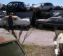 SPN_0274.jpg