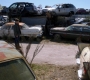 SPN_0275.jpg