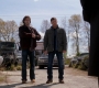 SPN_0281.jpg