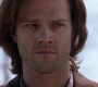 SPN_0375.jpg