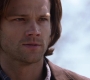 SPN_0383.jpg