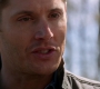SPN_0403.jpg