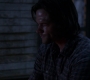 SPN_0931.jpg