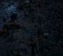 SPN_0944.jpg