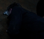SPN_1032.jpg