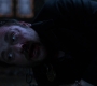 SPN_1036.jpg