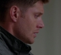 Filename=SPN_0080.jpg
Filesize=44KiB
Dimensions=1276x720
Date added=Oct 09, 2013 SPN_0080.jpg