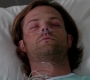Filename=SPN_0085.jpg
Filesize=57KiB
Dimensions=1276x720
Date added=Oct 09, 2013 SPN_0085.jpg
