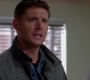 Filename=SPN_0105.jpg
Filesize=49KiB
Dimensions=1276x720
Date added=Oct 09, 2013 SPN_0105.jpg