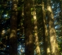 Filename=SPN_0373.jpg
Filesize=118KiB
Dimensions=1276x720
Date added=Sep 30, 2021 SPN_0373.jpg