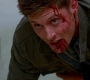 SPN_1106.jpg