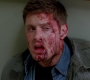 SPN_1161.jpg