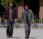 SPN_1500.jpg