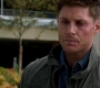 SPN_1529.jpg