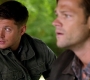 Filename=SPN_0046.jpg
Filesize=69KiB
Dimensions=1280x720
Date added=Oct 16, 2013 SPN_0046.jpg