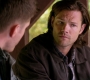 Filename=SPN_0066.jpg
Filesize=71KiB
Dimensions=1280x720
Date added=Oct 16, 2013 SPN_0066.jpg