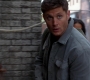 SPN_1081.jpg