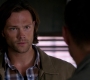 SPN_1395.jpg