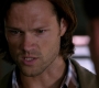SPN_1409.jpg