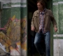 SPN_1458.jpg