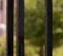SPN_0070.jpg