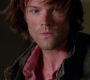 SPN_1330.jpg