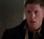 SPN_1376.jpg