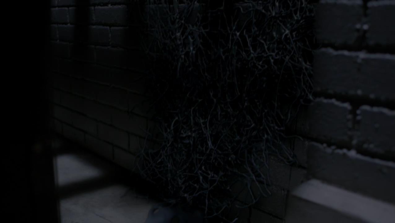 SPN_0338.jpg