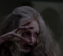 SPN_1184.jpg